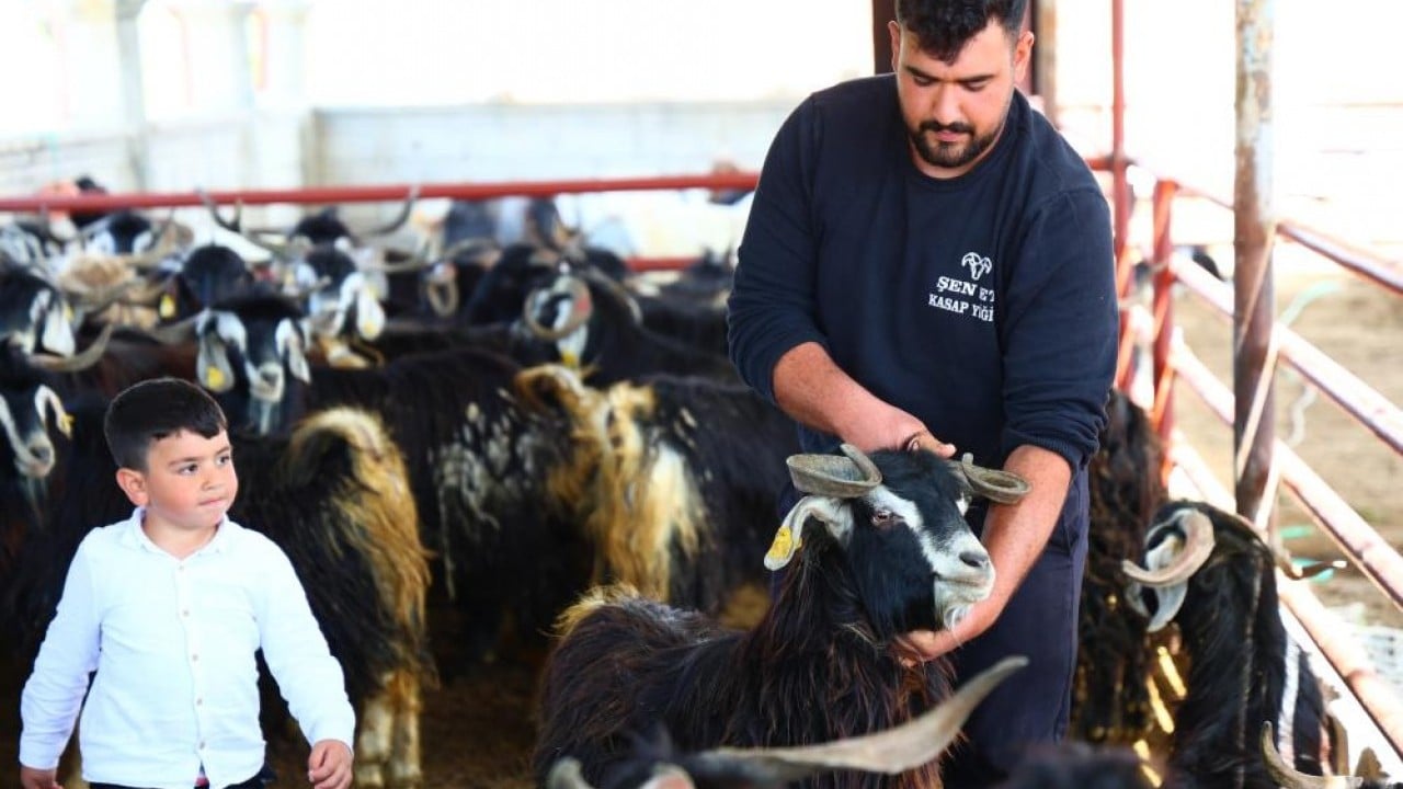 Foto - Kurban mesaisinde rekor 140 kiloluk dev alıcısını bekliyor