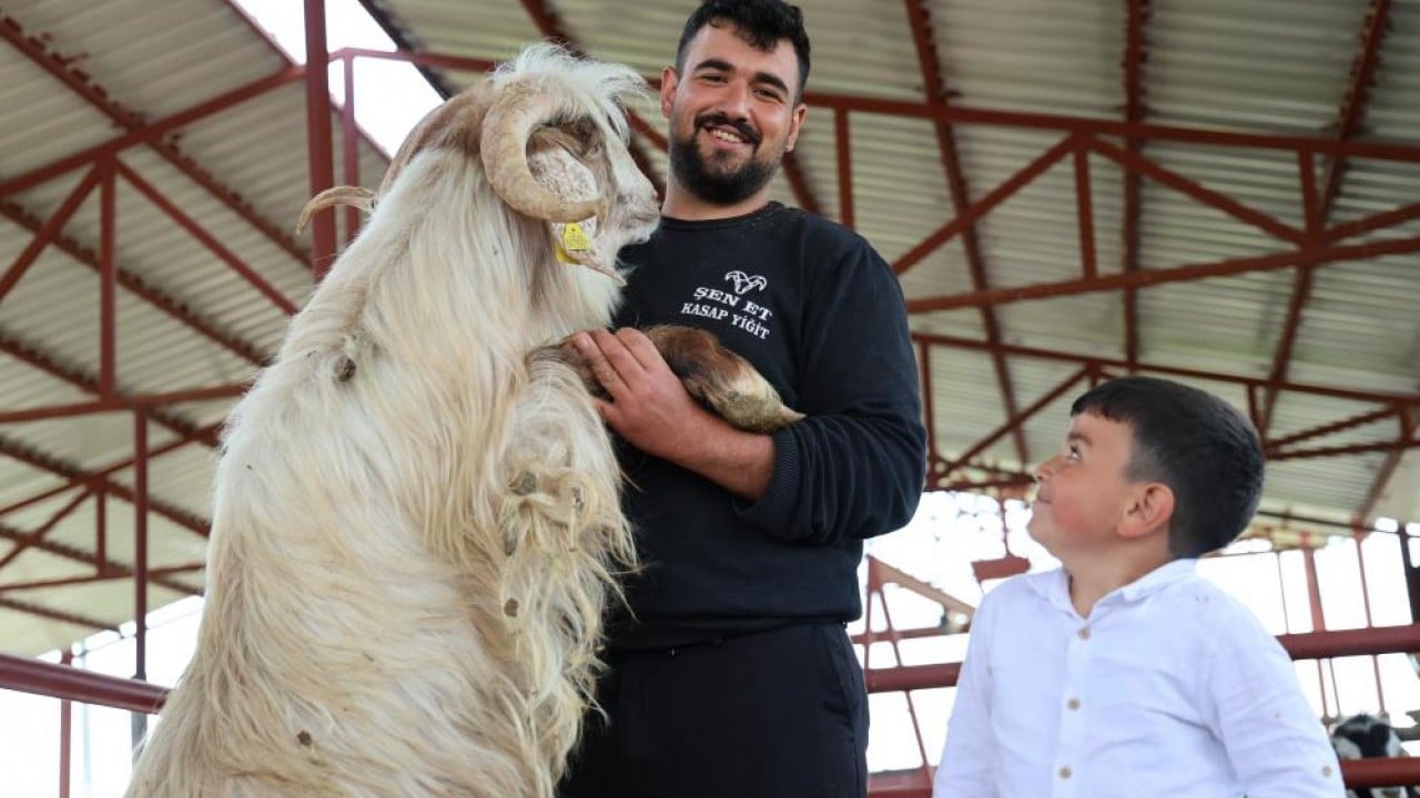 Foto - Kurban mesaisinde rekor 140 kiloluk dev alıcısını bekliyor