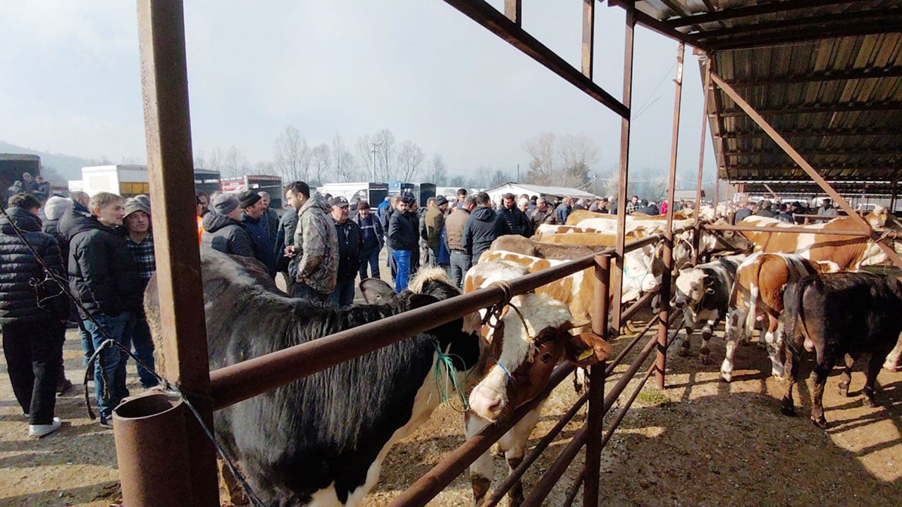 Foto - Kurban pazarında hareketlilik erken başladı: Kıran kırana pazarlık!