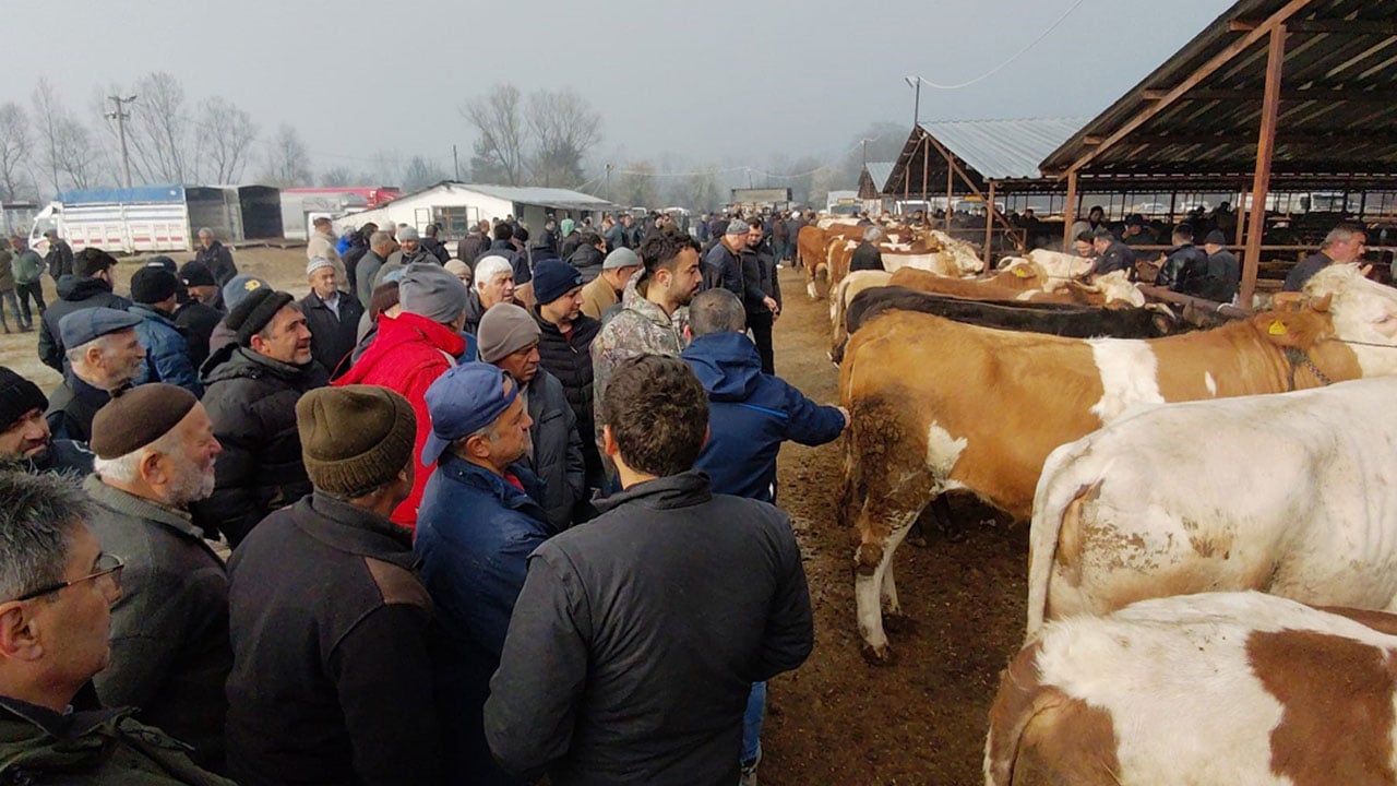 Foto - Kurban pazarında hareketlilik erken başladı: Kıran kırana pazarlık!