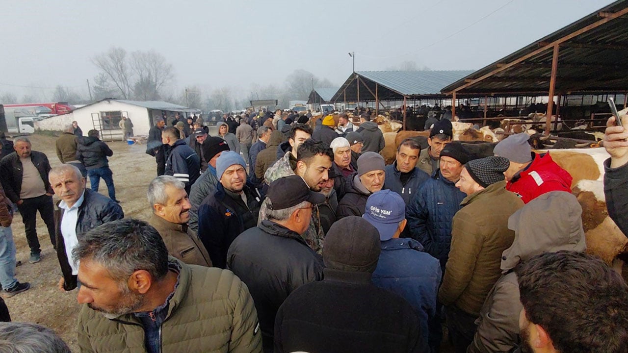 Kurban pazarında hareketlilik erken başladı: Kıran kırana pazarlık!