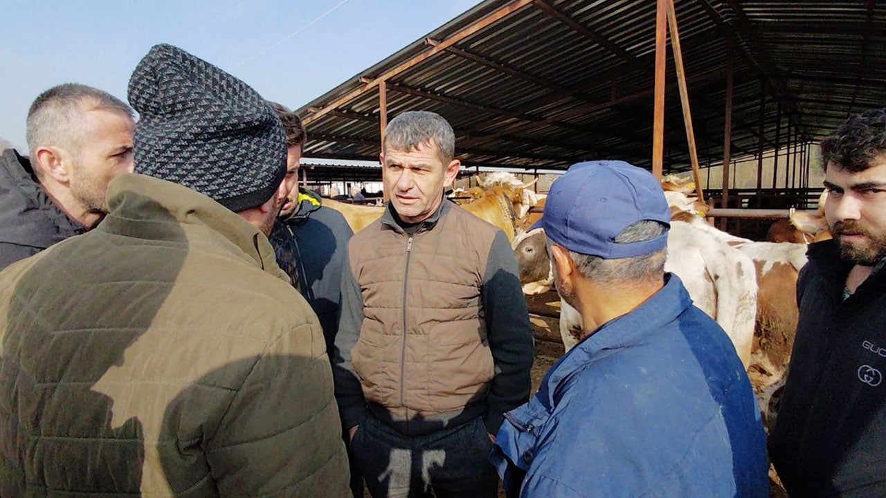 Foto - Kurban pazarında hareketlilik erken başladı: Kıran kırana pazarlık!