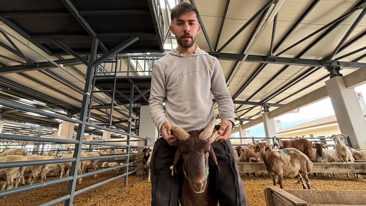 Foto - Kurban pazarının en sıra dışı misafiri! İşte 5 boynuzlu kuzunun fiyatı