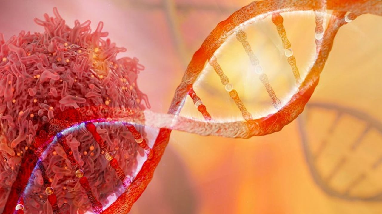 Foto - kanser patlaması yaşanacak: Psikolojik sağlamlık bağışıklık sistemini güçlendiriyor