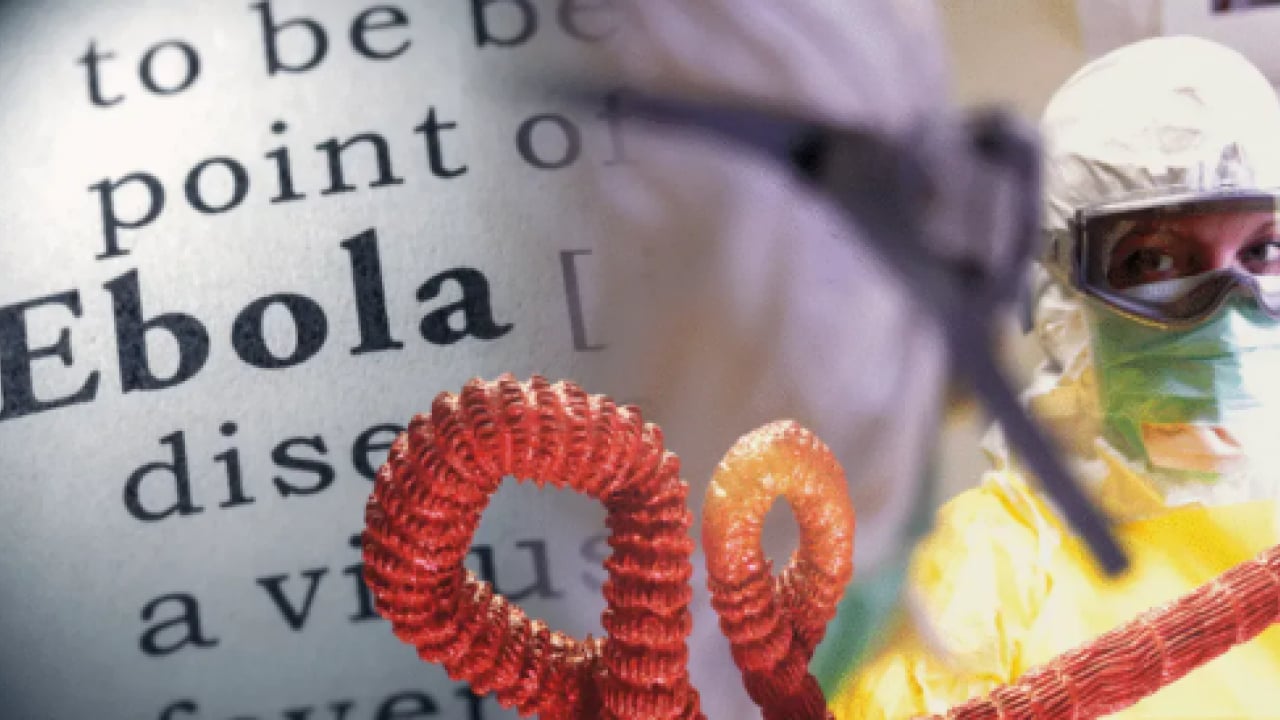 Foto - Küresel sağlıkta Ebola alarmı! ABD duyurdu: Tarihin en ölümcül seviyesine ulaşabilir