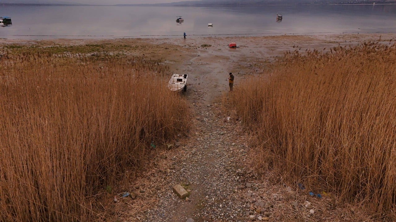 Foto - Kurtarma planı işe yaradı: Sapanca Gölü yeniden bereketleniyor
