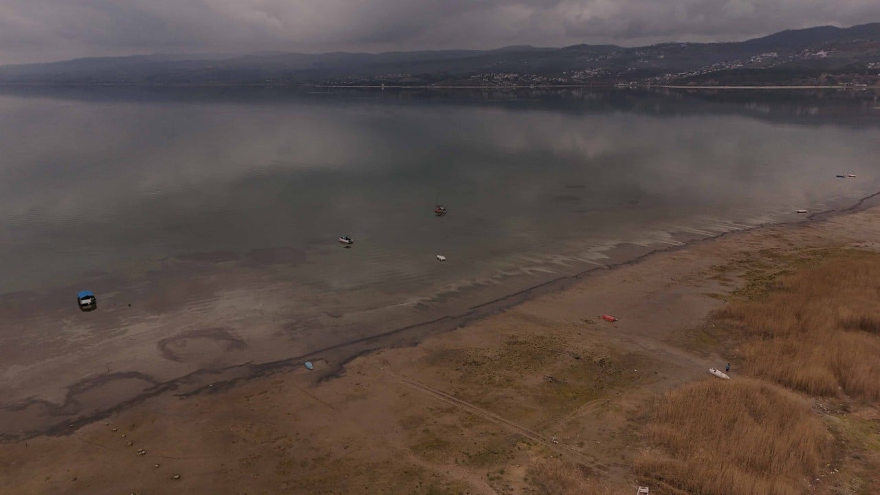 Foto - Kurtarma planı işe yaradı: Sapanca Gölü yeniden bereketleniyor