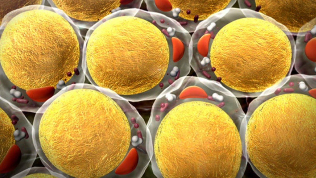 Foto - Kuru meyve 3 – 4 adet yeter: Kan depolarını fullüyor, demir temin ediyor, en etkili kuru meyve