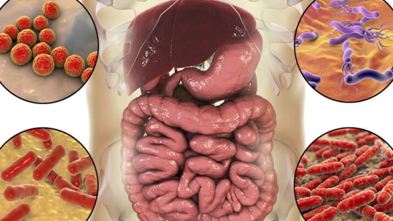 Foto - Kuru meyve 3 – 4 adet yeter: Kan depolarını fullüyor, demir temin ediyor, en etkili kuru meyve