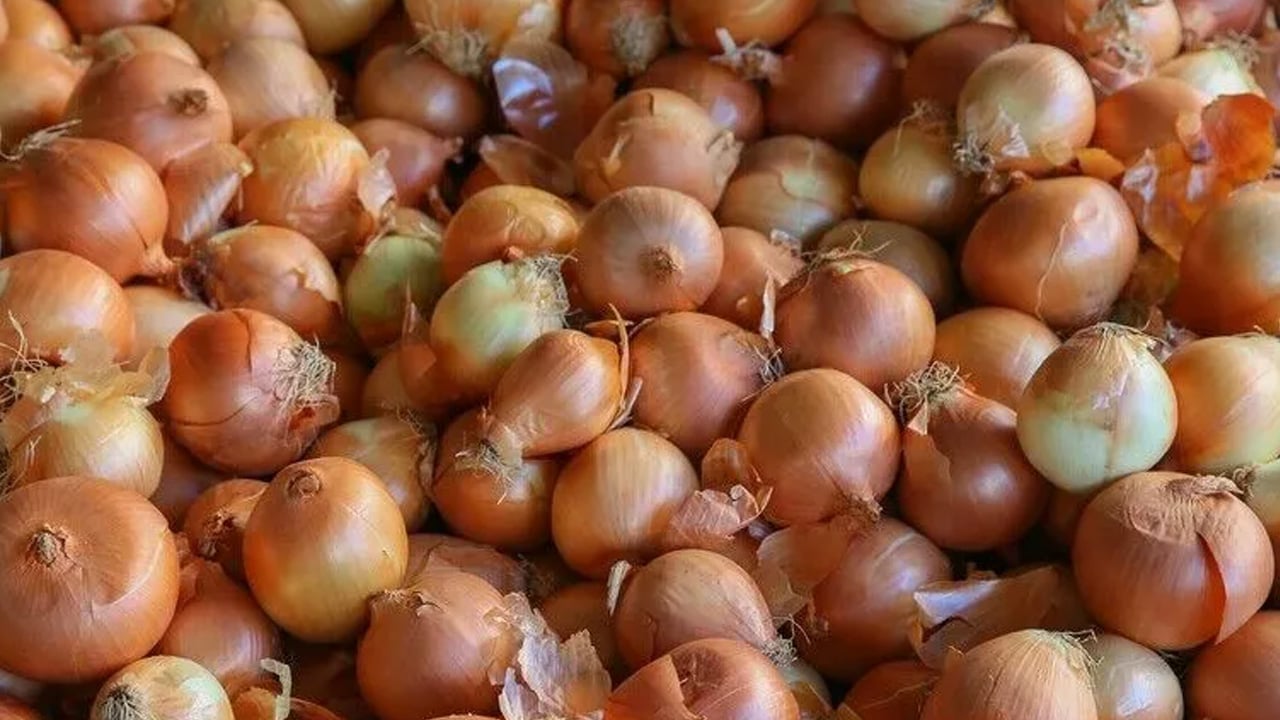 Foto - Kuru soğan ithalatında vergi düşürüldü!