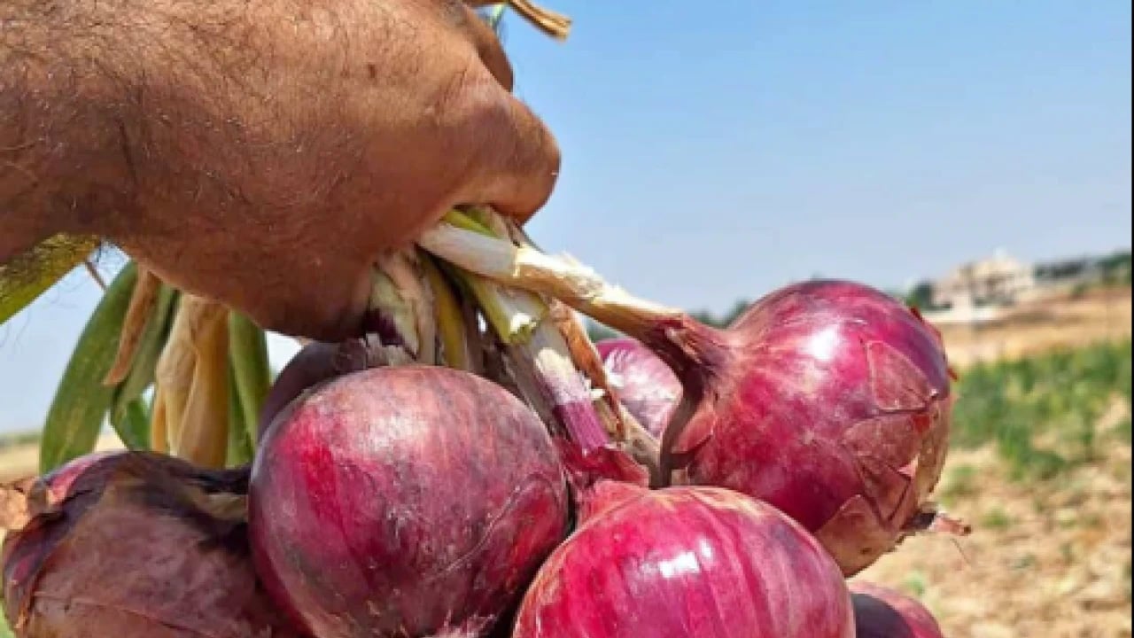 Foto - Kuru soğan ithalatında vergi düşürüldü!