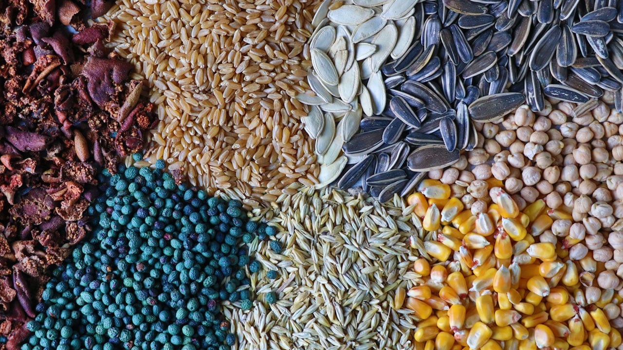 Kuşaktan kuşağa taşınıyor! Anadolu’nun asırlık şifa kaynağı