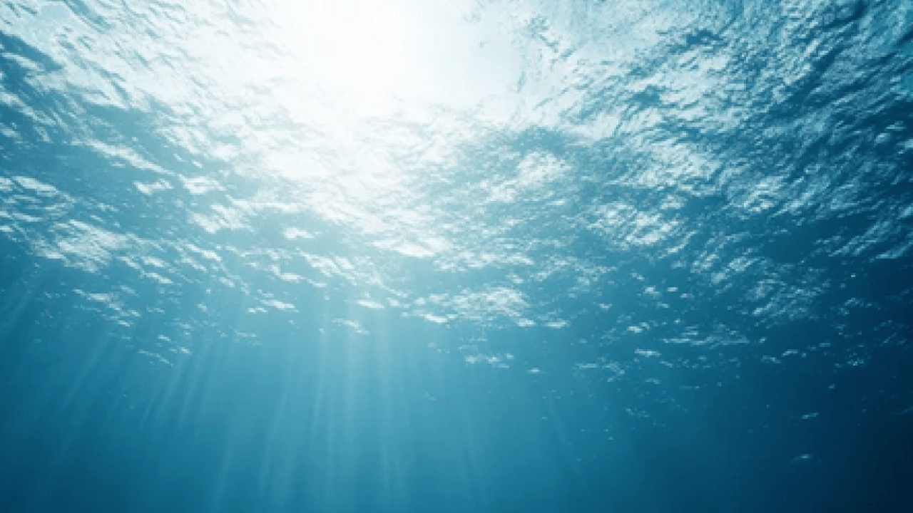 Kuzey Pasifik Okyanusu kaynıyor: Bilimin açıklayamadığı su sıcaklıkları kaydedildi