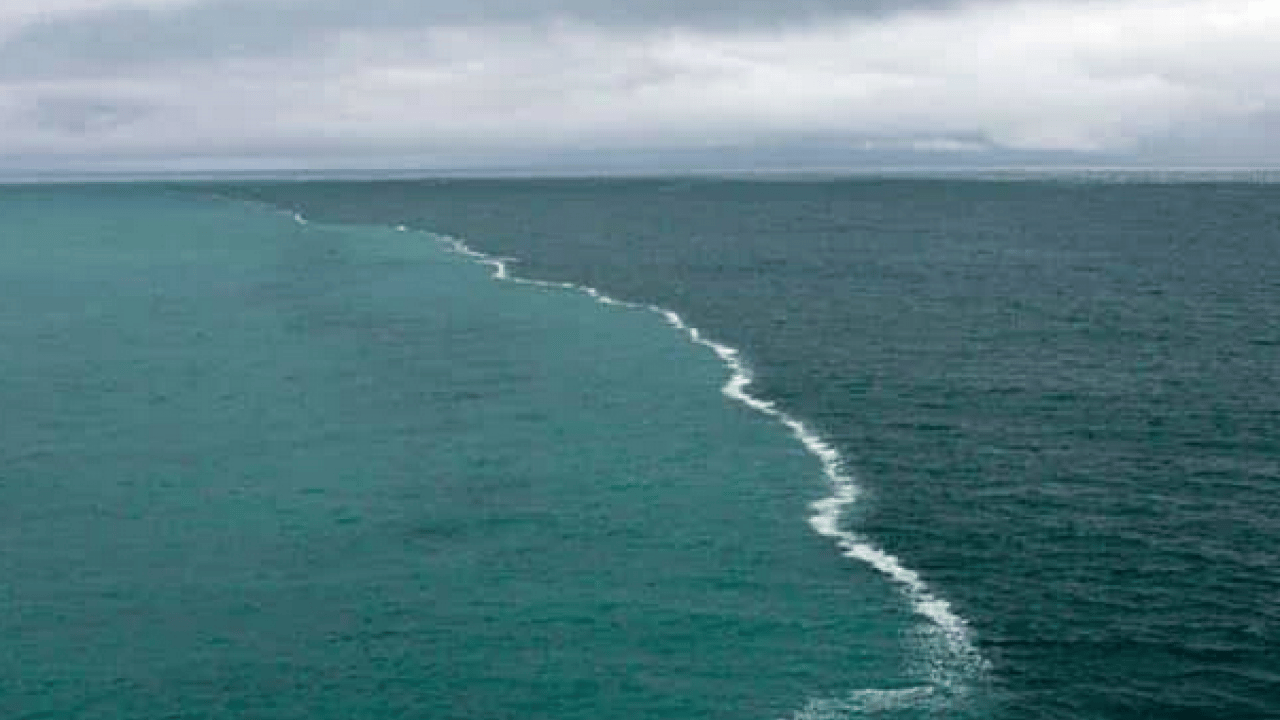 Foto - Kuzey Pasifik Okyanusu kaynıyor: Bilimin açıklayamadığı su sıcaklıkları kaydedildi