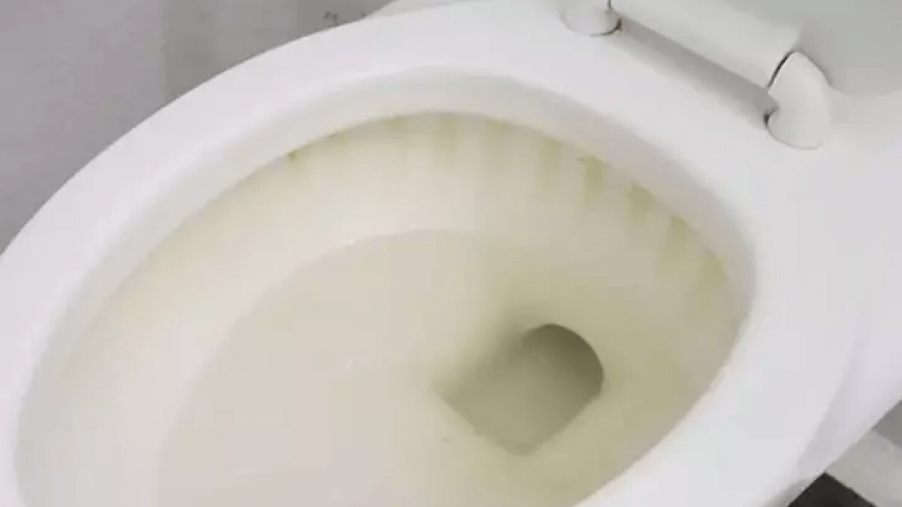 Foto - Lekelerden eser kalmıyor: İşte klozetleri bembeyaz yapmanın basit yolu!