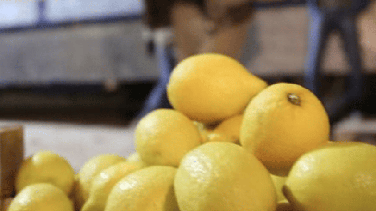 Limonları 1 ay bozulmadan taze tutmak mı istiyorsunuz: O basit yöntemi mutlaka denemelisiniz...