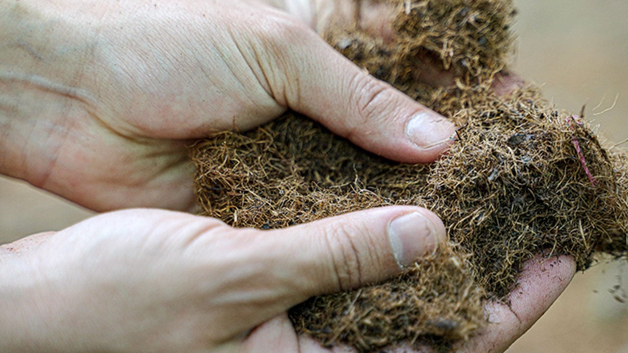 Foto - Lise öğrencilerinden büyük başarı! Bakın çay atığından ne geliştirildi