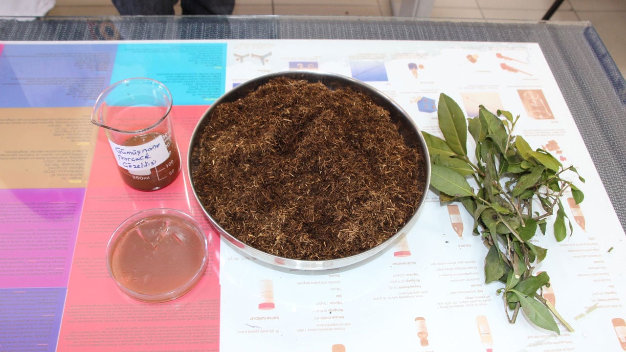 Foto - Lise öğrencilerinden büyük başarı! Bakın çay atığından ne geliştirildi