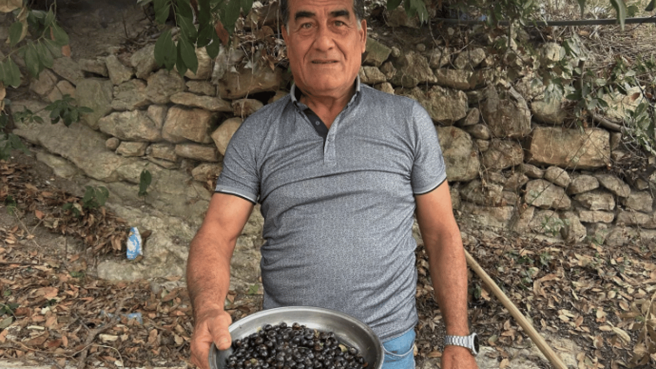 Litre fiyatı 1000 lira oldu! Ormanda kendiliğinden yetişiyor