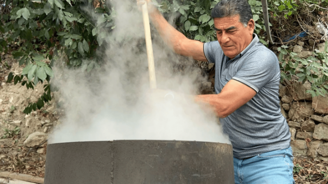 Foto - Litre fiyatı 1000 lira oldu! Ormanda kendiliğinden yetişiyor