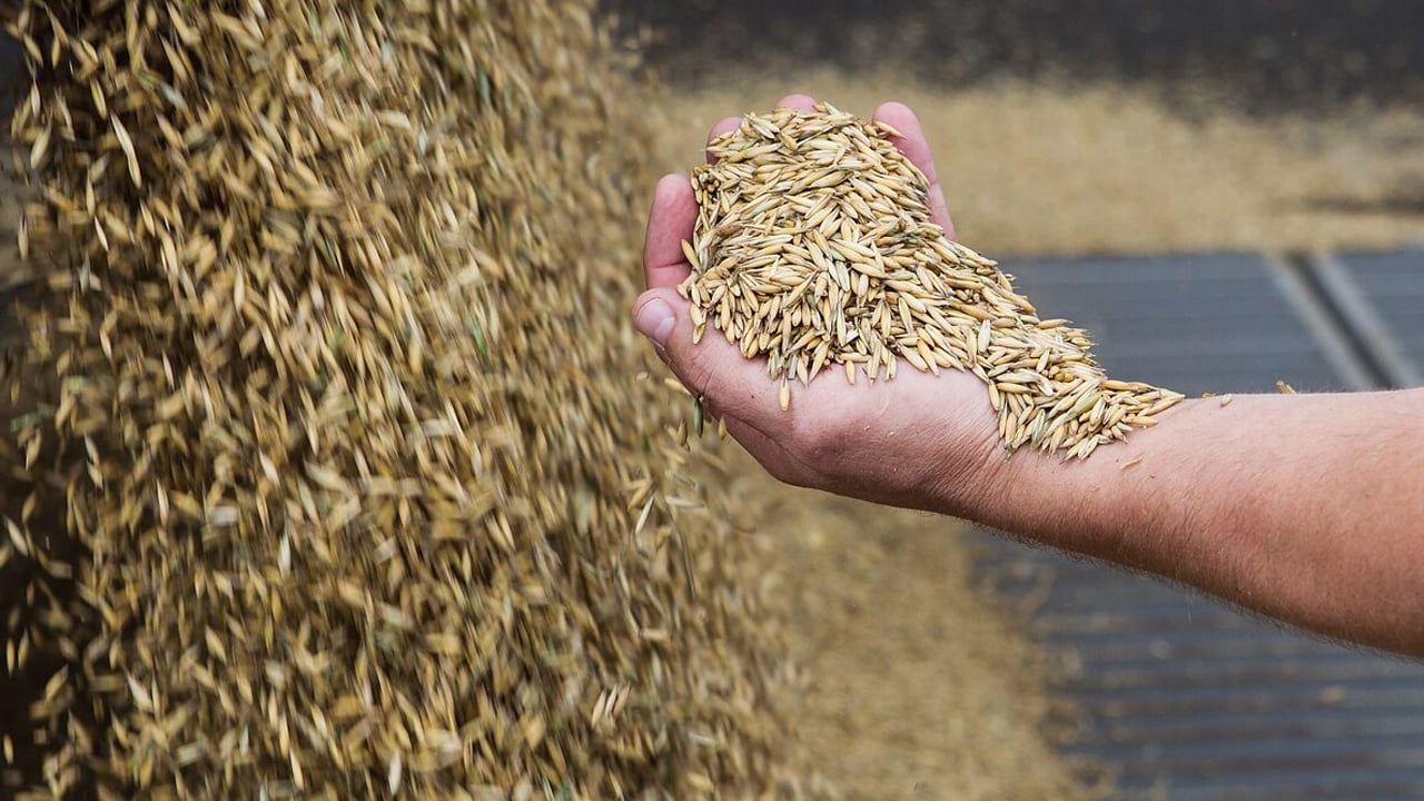 Foto - O ülkede bu olay yılan hikayesine döndü: Yiyecek mi, yakıt mı? Kafaları karıştırdı! Merak uyandırdı 