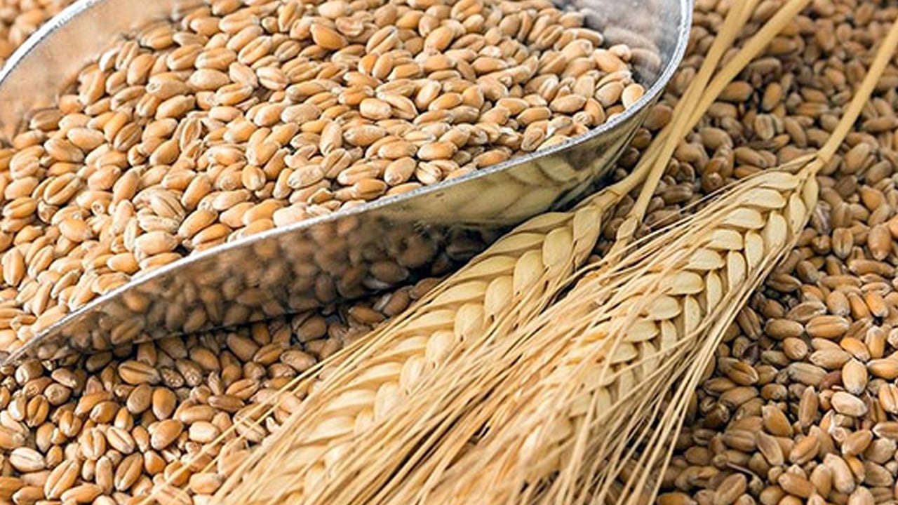 Foto - O ülkede bu olay yılan hikayesine döndü: Yiyecek mi, yakıt mı? Kafaları karıştırdı! Merak uyandırdı 