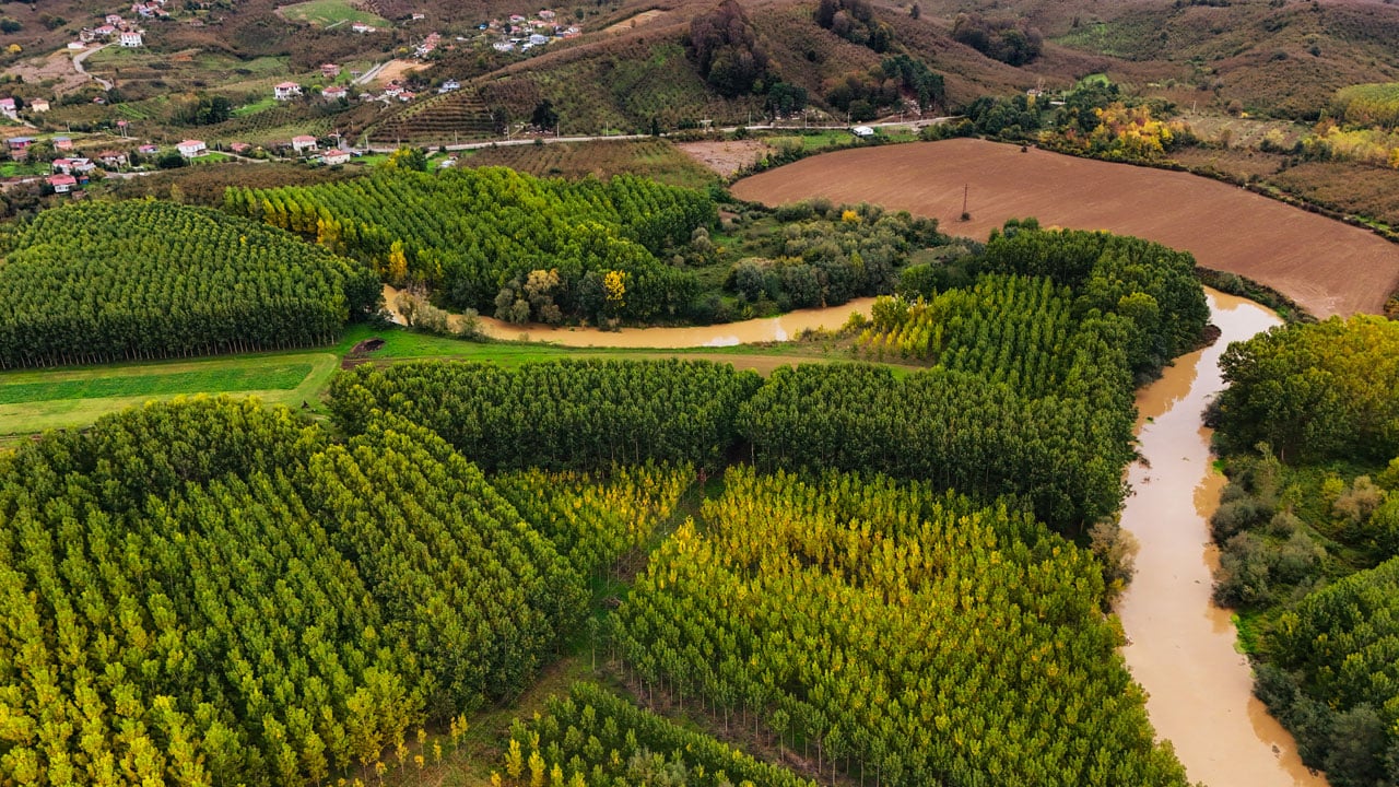 Foto - Longozda büyüleyici manzara! Sonbahar tüm tonlarıyla sahnede