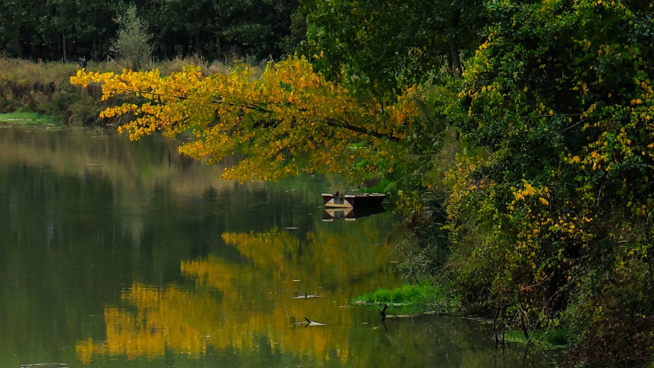 Longozda büyüleyici manzara! Sonbahar tüm tonlarıyla sahnede