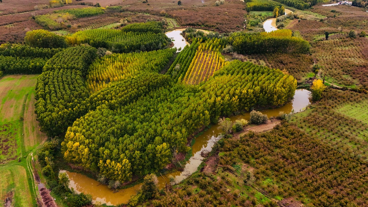 Foto - Longozda büyüleyici manzara! Sonbahar tüm tonlarıyla sahnede