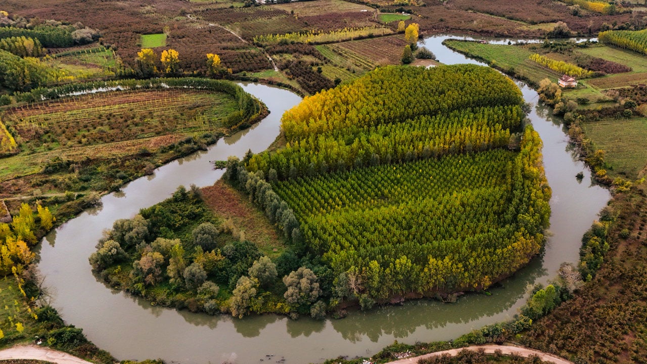 Foto - Longozda büyüleyici manzara! Sonbahar tüm tonlarıyla sahnede
