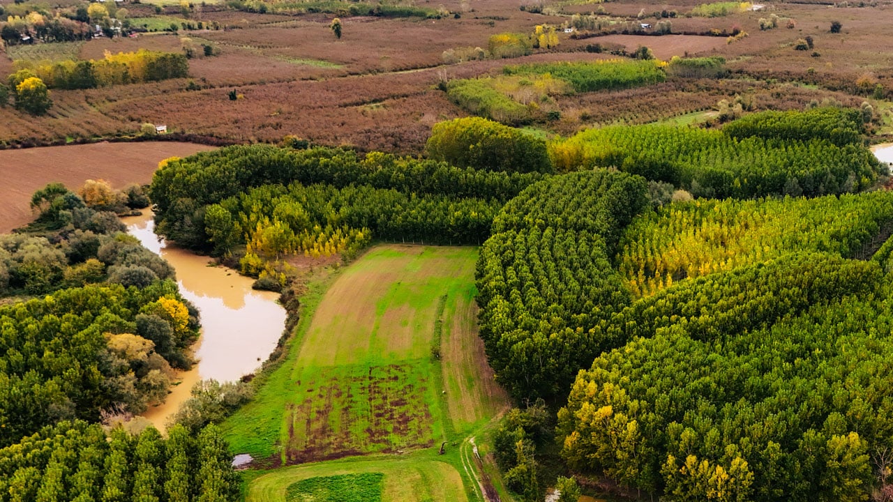 Foto - Longozda büyüleyici manzara! Sonbahar tüm tonlarıyla sahnede
