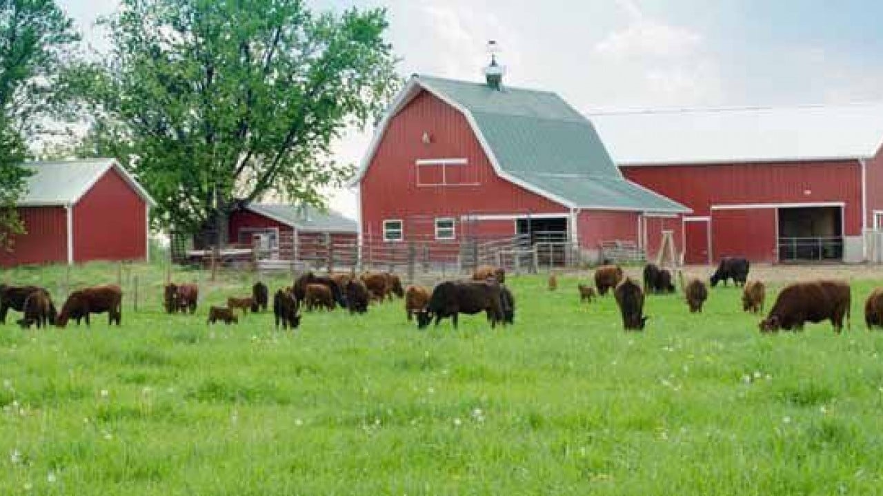 Foto - Maaşlı çiftlikler geliyor! Bekarlara 2, evlilere 3 asgari ücret verilecek