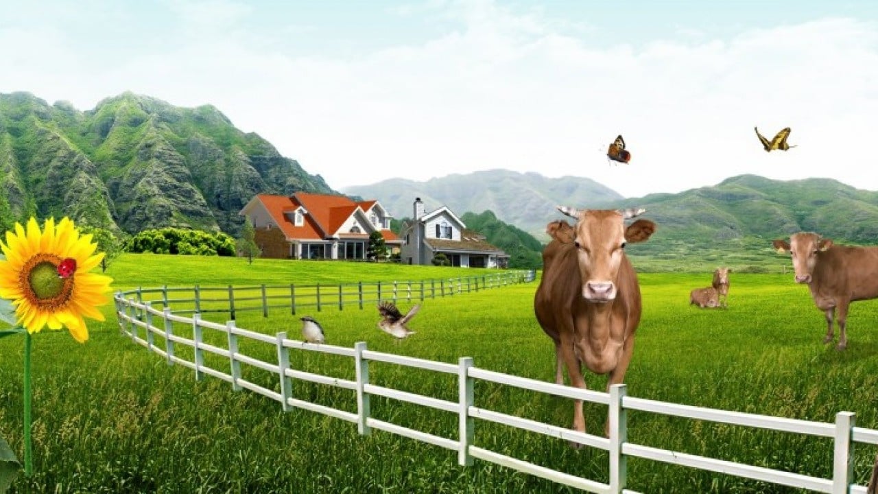 Maaşlı çiftlikler geliyor! Bekarlara 2, evlilere 3 asgari ücret verilecek