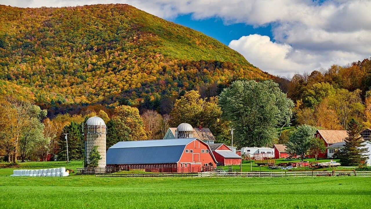 Foto - Maaşlı çiftlikler geliyor! Bekarlara 2, evlilere 3 asgari ücret verilecek
