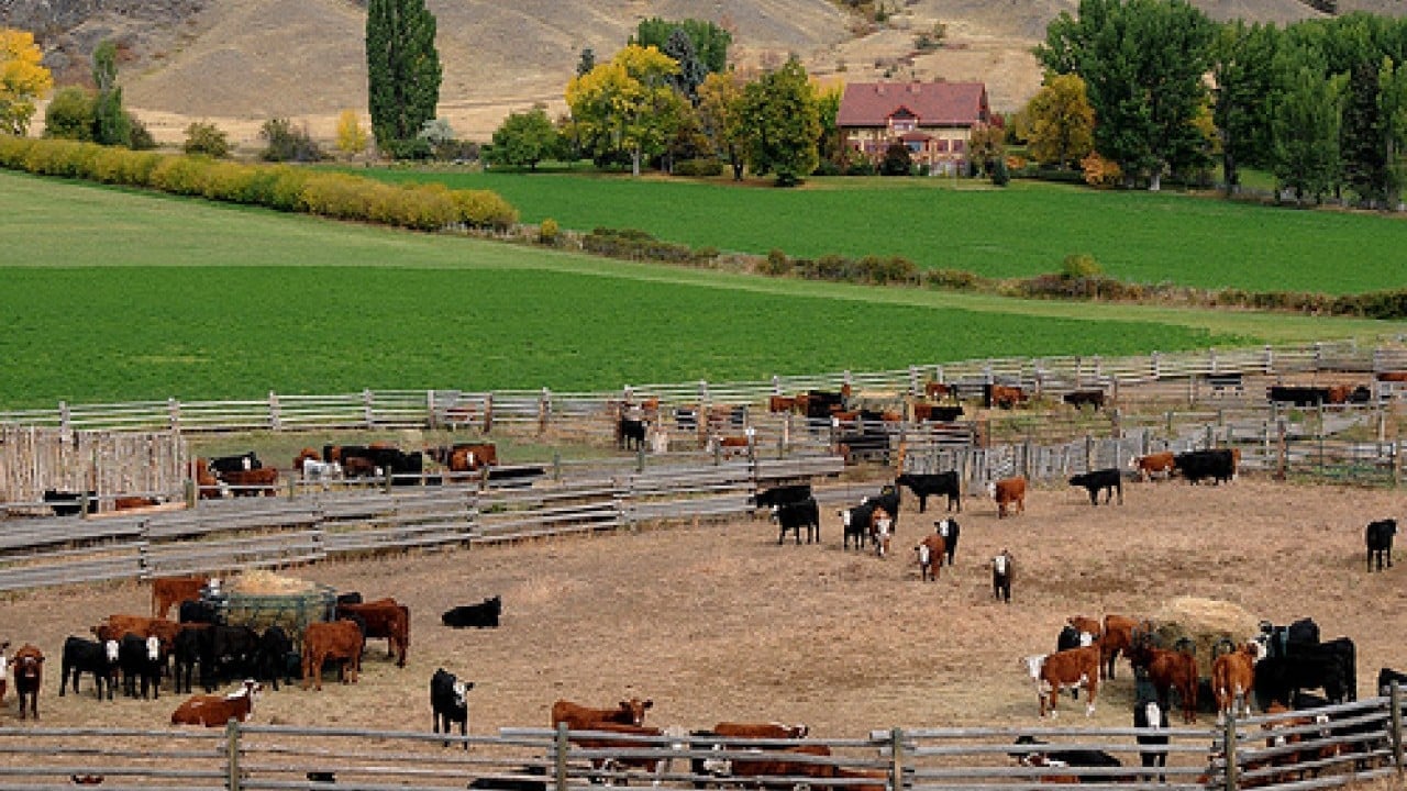 Foto - Maaşlı çiftlikler geliyor! Bekarlara 2, evlilere 3 asgari ücret verilecek