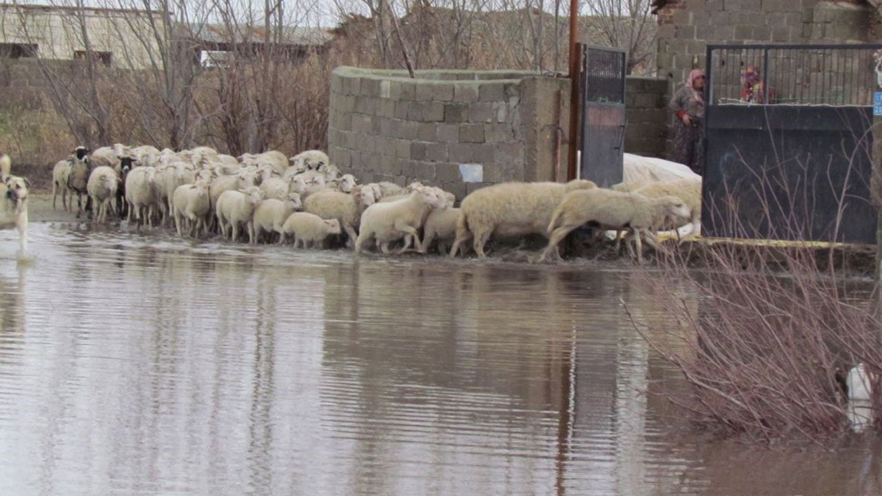 Foto - Mahalle sular altında kaldı! Burası Venedik değil Aydın