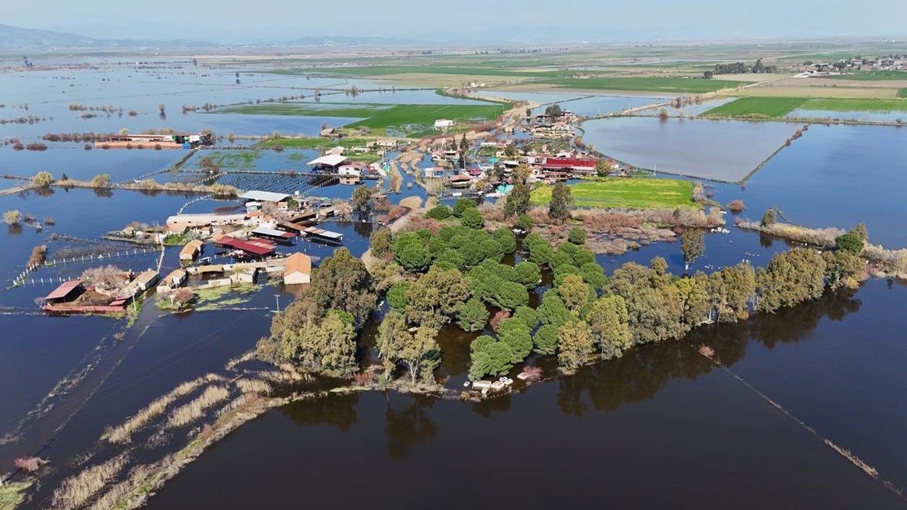 Mahalle sular altında kaldı! Burası Venedik değil Aydın