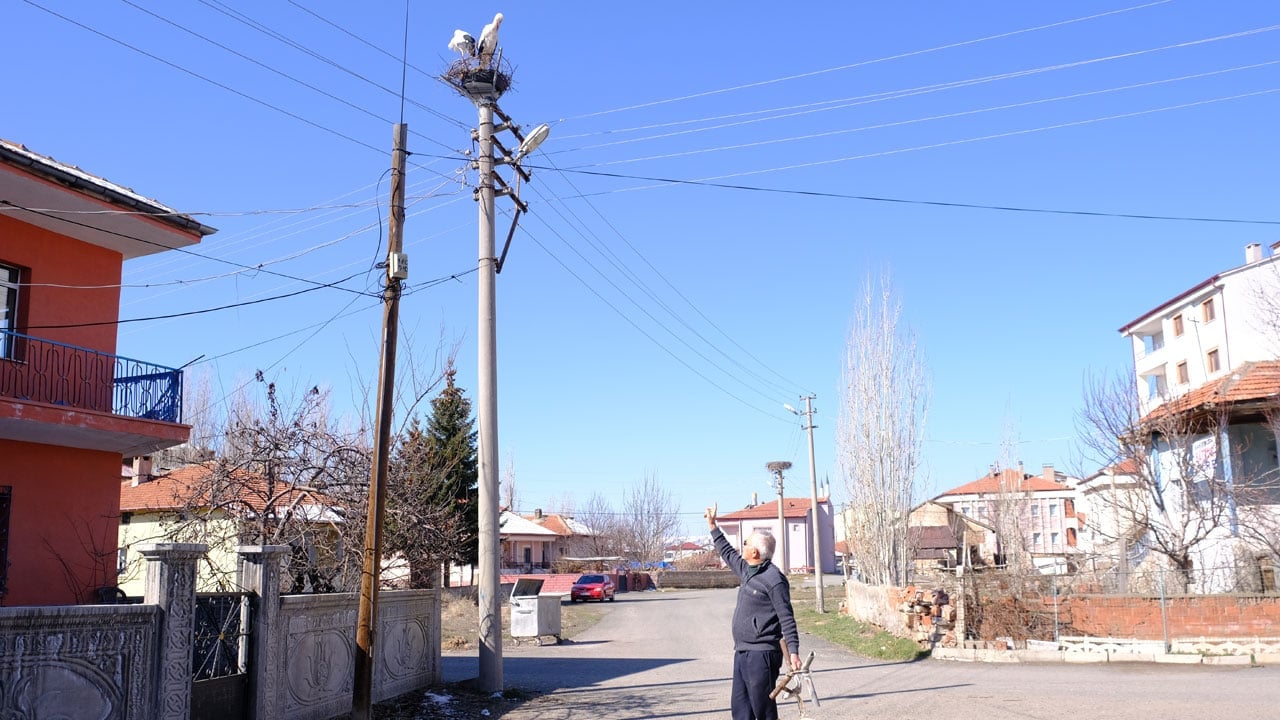 Foto - Mahalleli seferber oldu! 40 yıllık leylek yuvası yeniden yapıldı