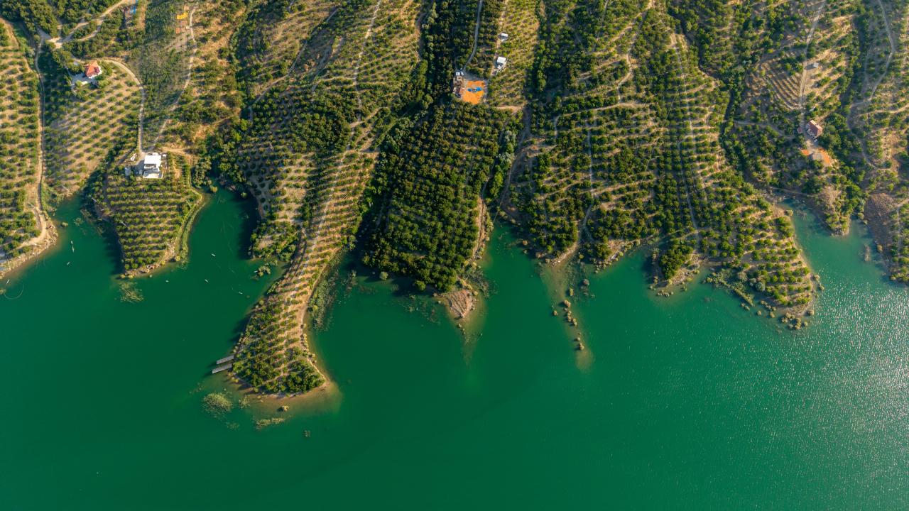 Foto - Malatya'nın altın meyvesi! Şimdi kayısı hasadı zamanı