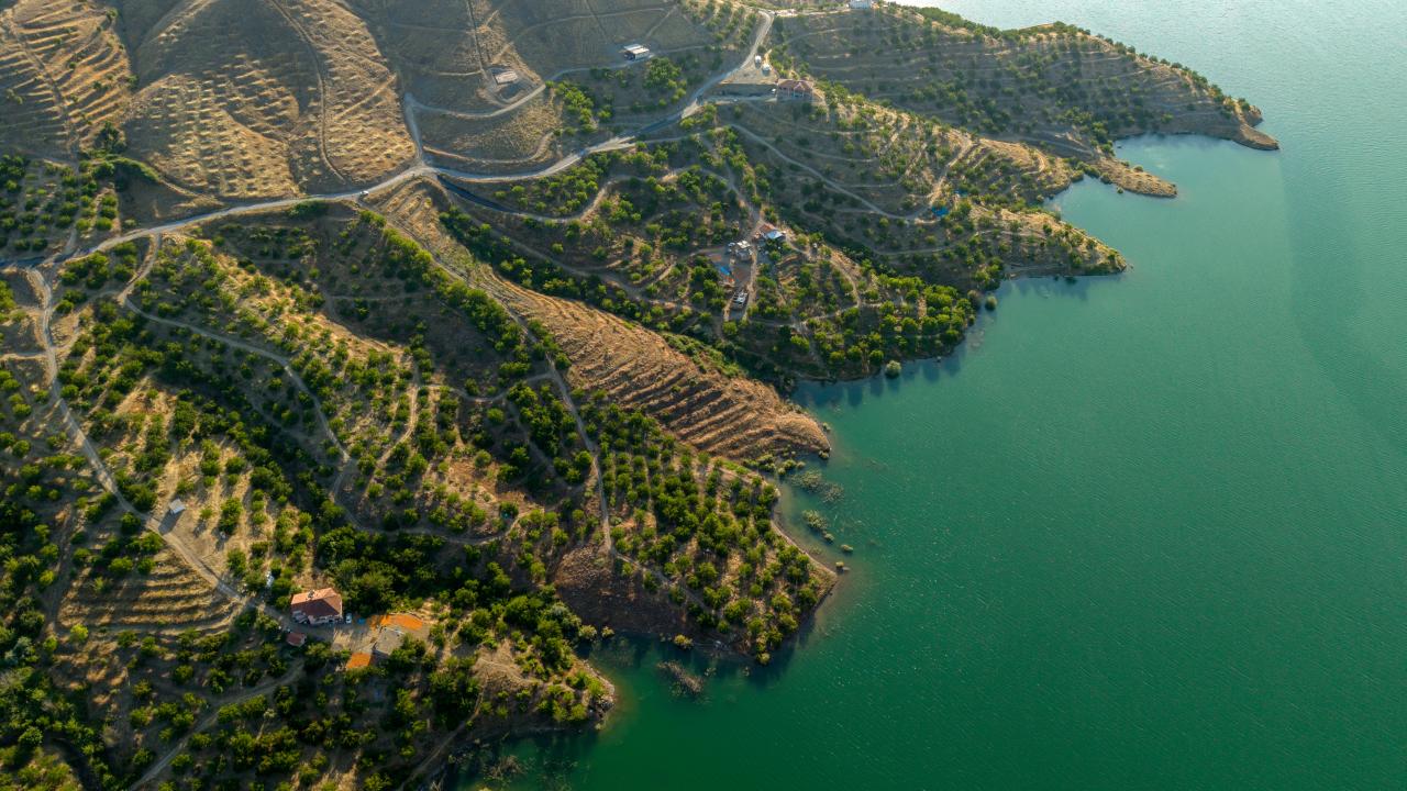 Foto - Malatya'nın altın meyvesi! Şimdi kayısı hasadı zamanı