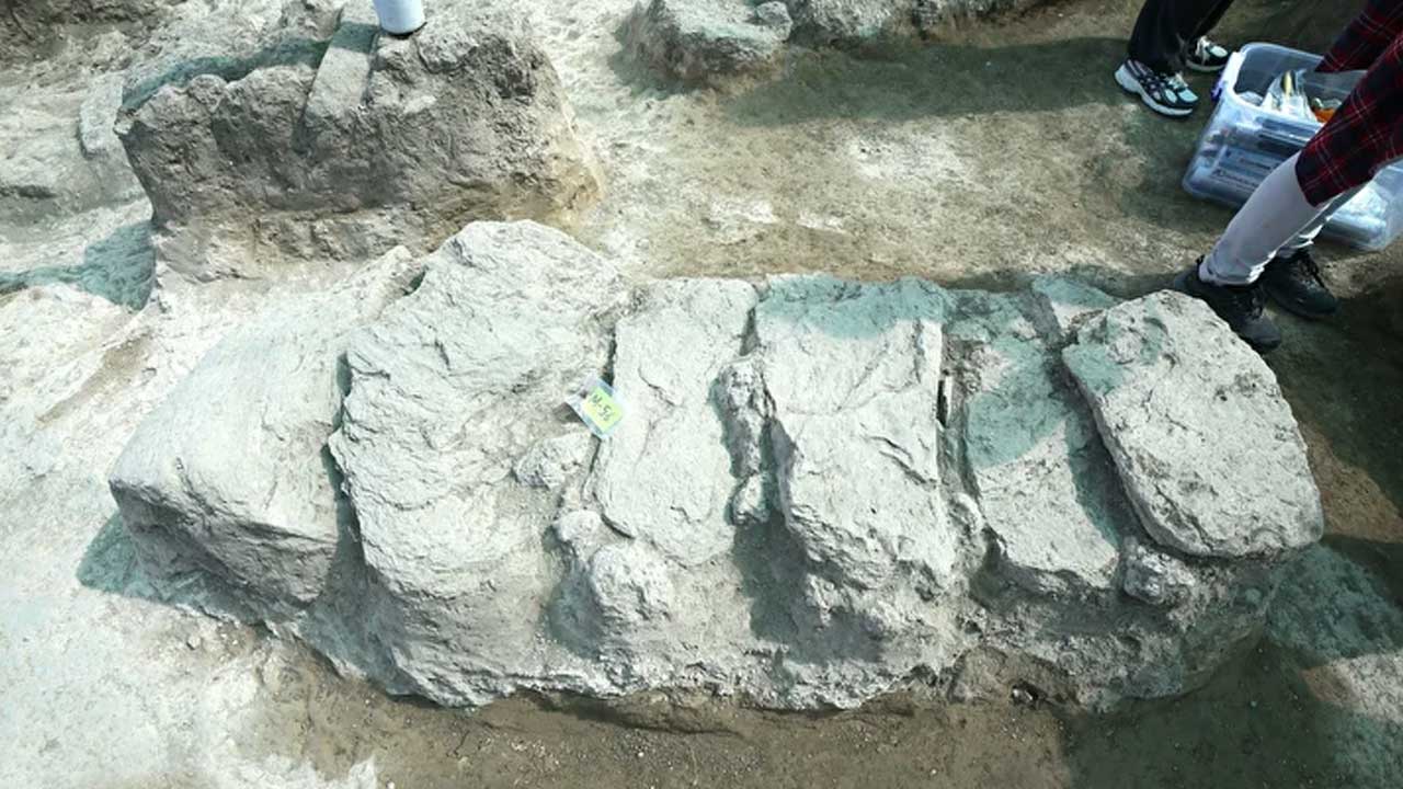 Foto - Malazgirt şehitlerini DNA belirleyecek