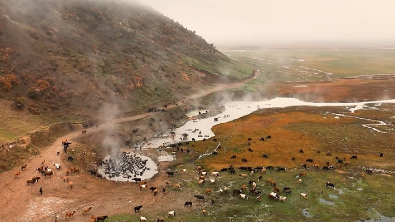 Foto - Mandaların kaplıca keyfi