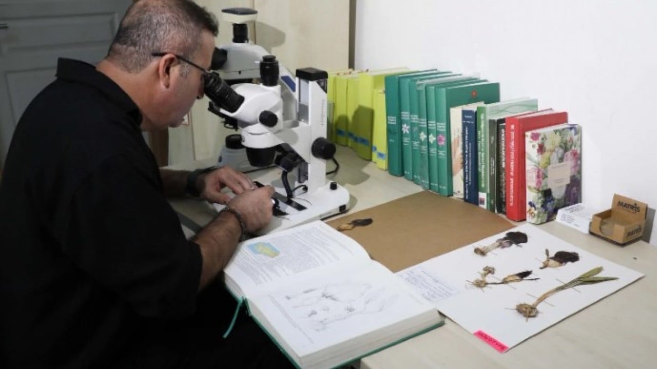 Foto - Mantar toplamaya çıktı ama! Dünya tarihine geçen bir keşif yaptı