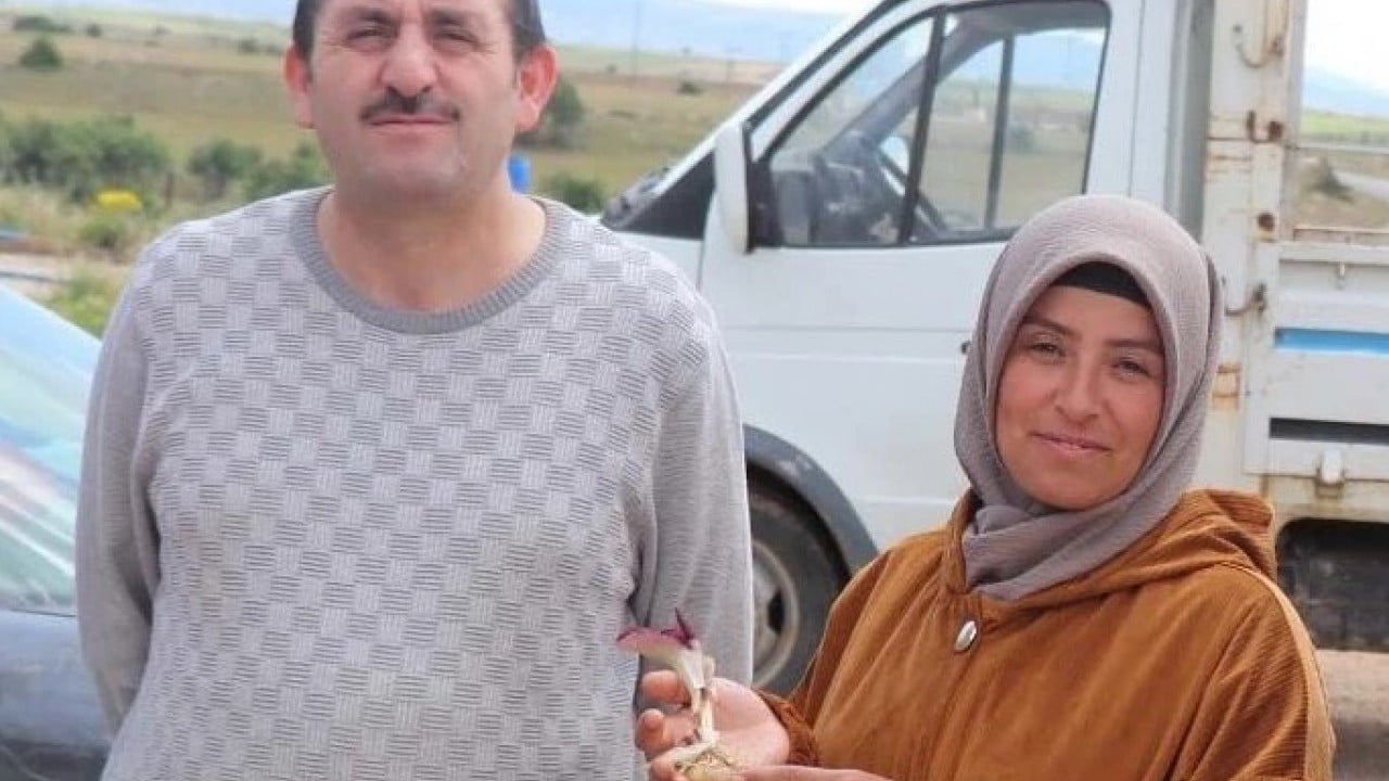 Foto - Mantar toplamaya çıktı ama! Dünya tarihine geçen bir keşif yaptı