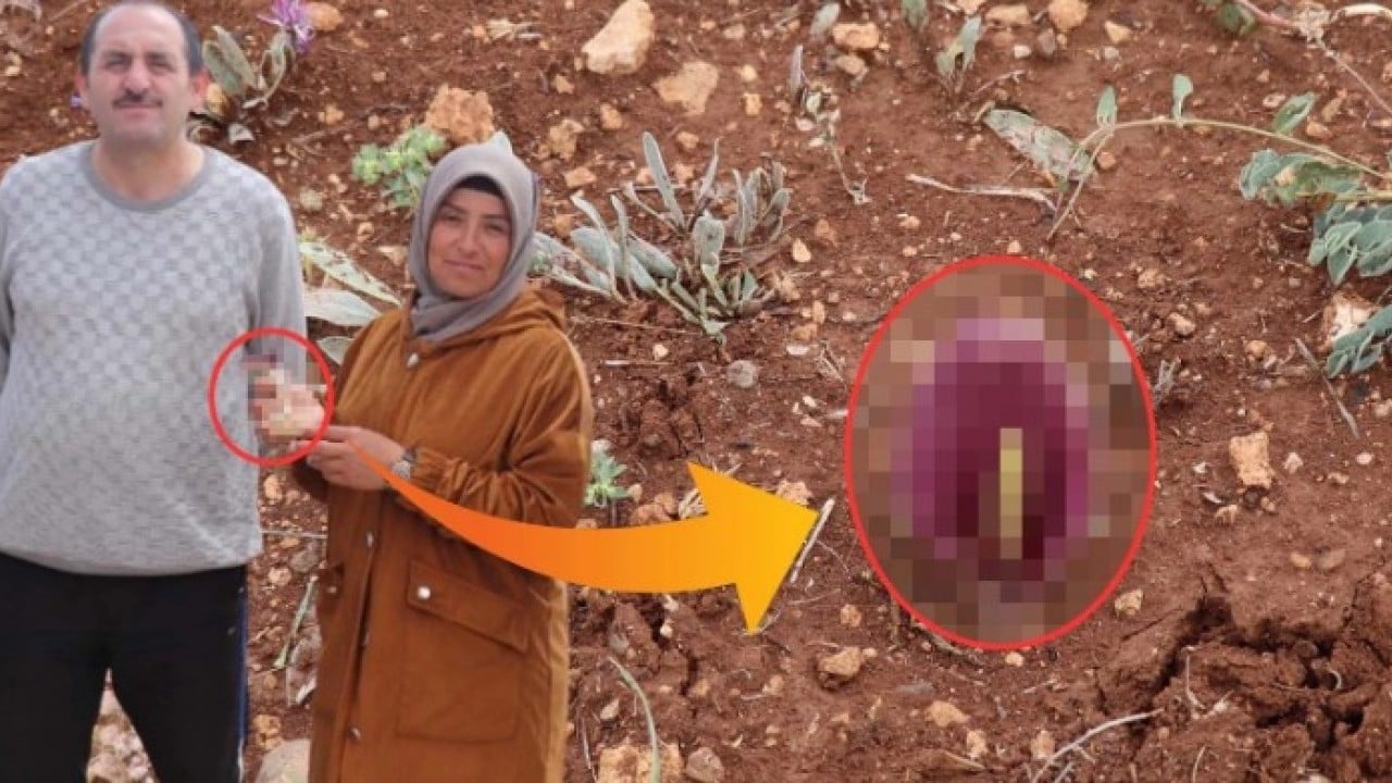 Mantar toplamaya çıktı ama! Dünya tarihine geçen bir keşif yaptı