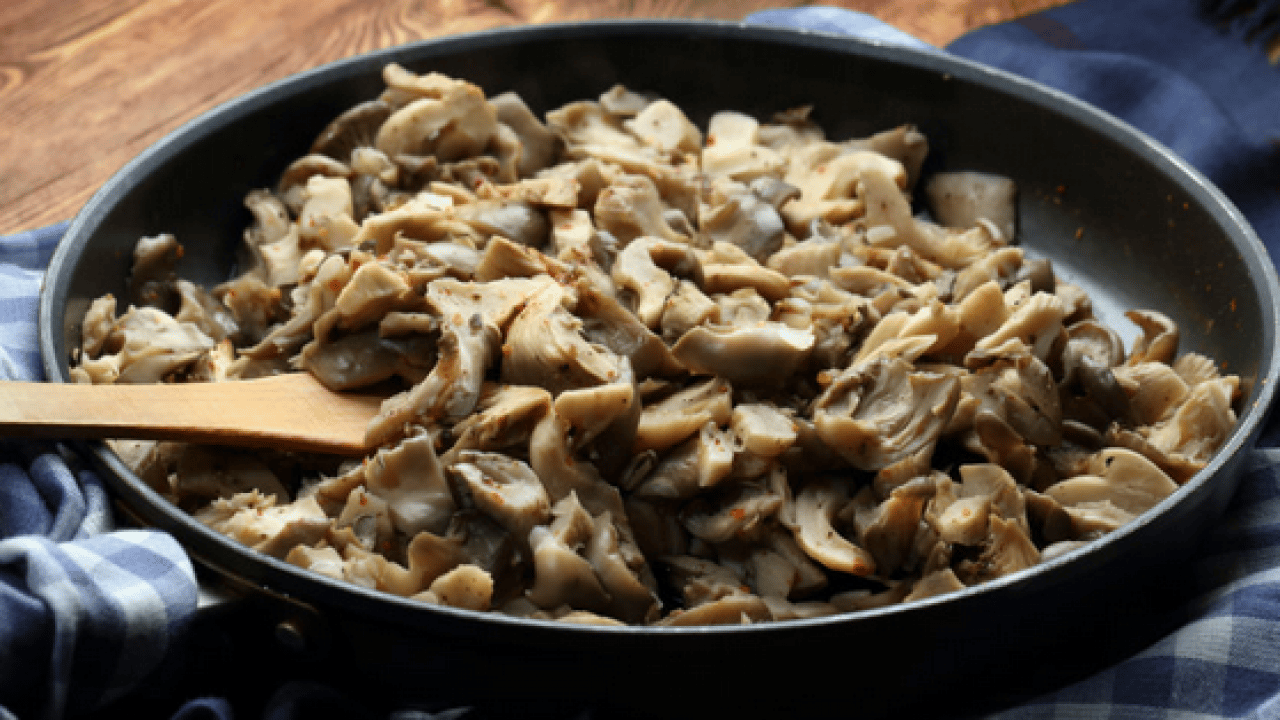 Foto - Mantar toplarken dikkat! Uzmanı karaciğer düşman diyor