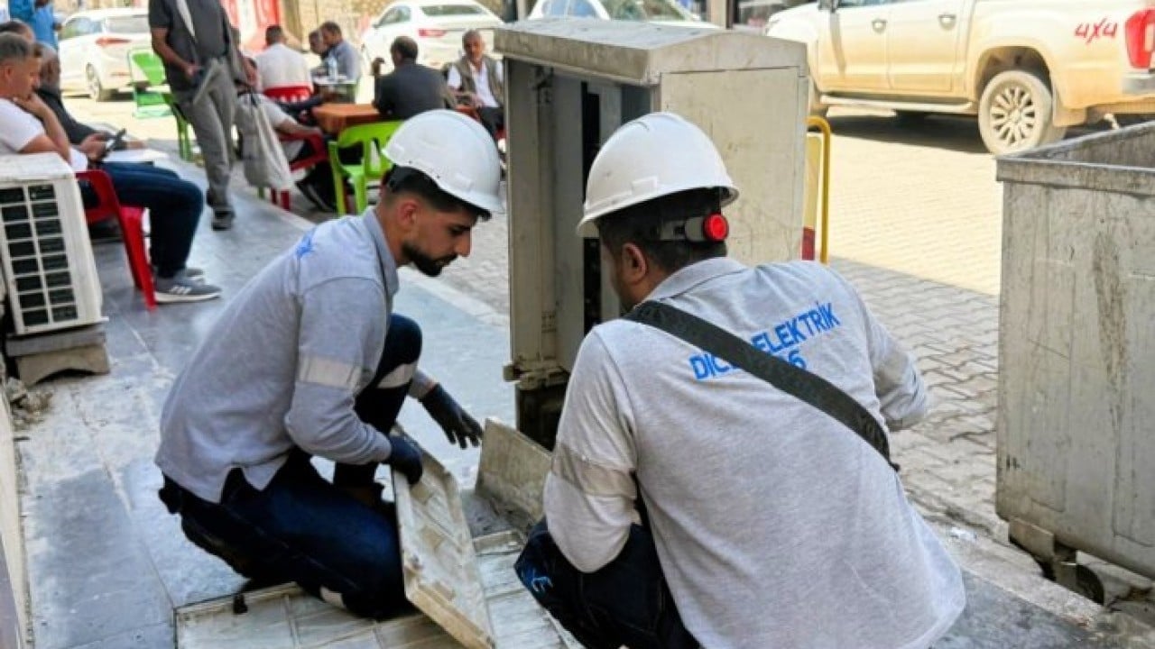 Foto - Mardin'de çileden çıkaran gelişme: 2 bin tanesine yetkisiz müdahalede bulunuldu