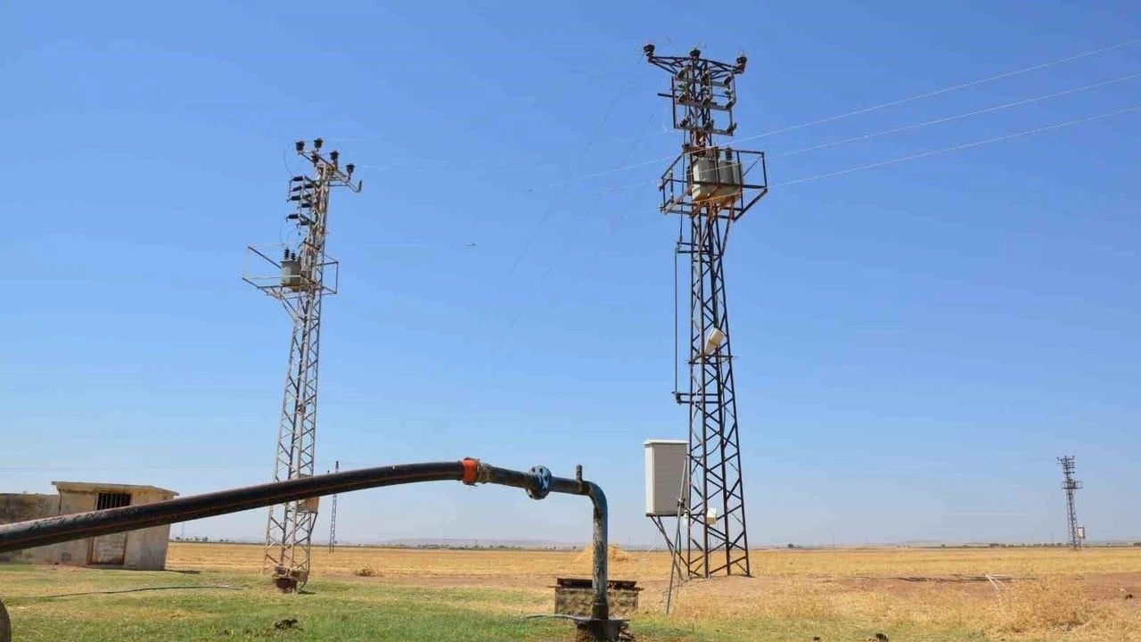 Foto - Mardin'de çileden çıkaran gelişme: 2 bin tanesine yetkisiz müdahalede bulunuldu