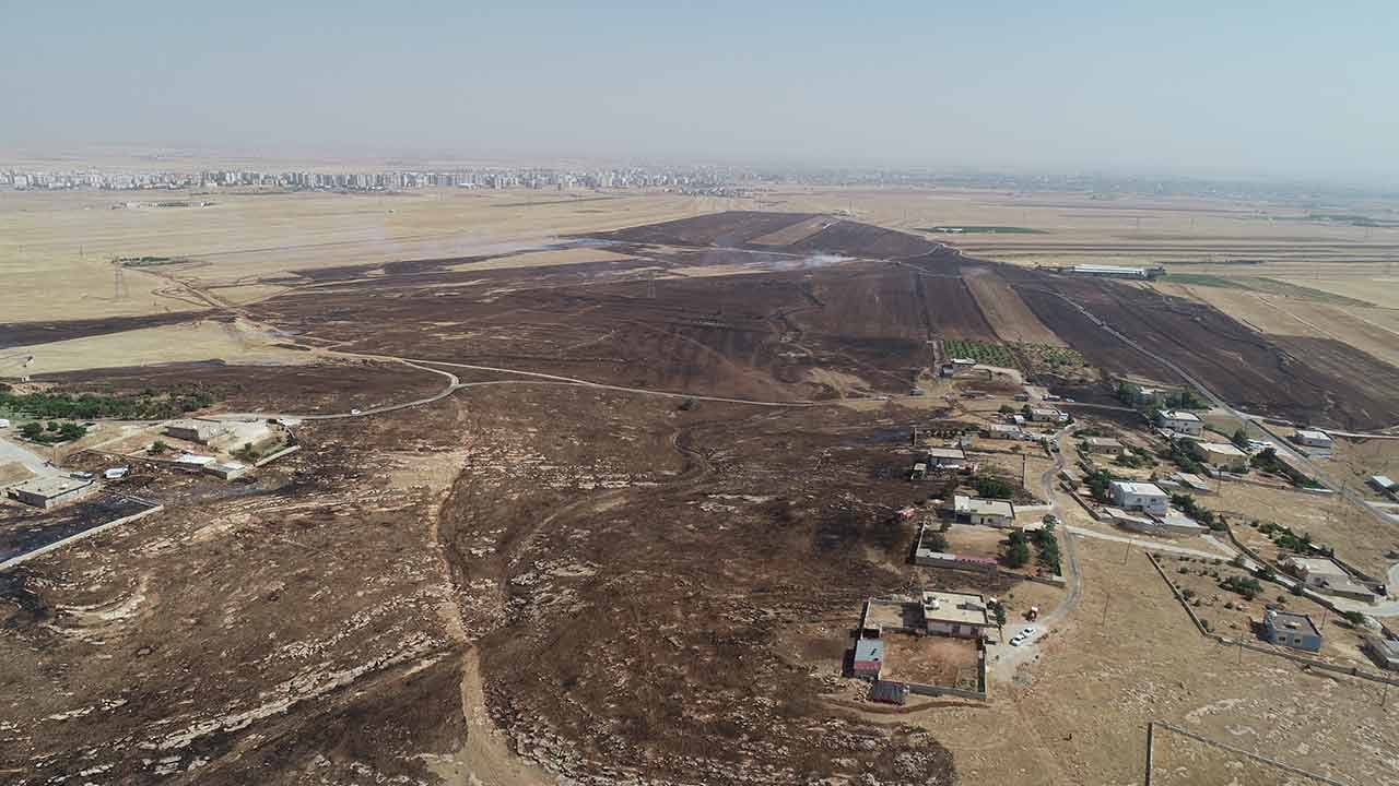 Foto - Mardin'de korkutan yangın