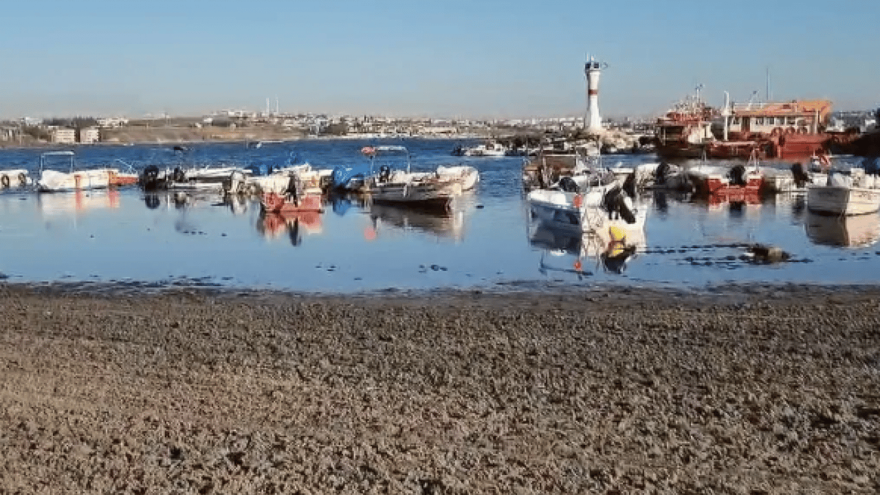 Foto - Marmara Denizi 20 metre çekildi: Tekirdağ'da korkutan görüntü